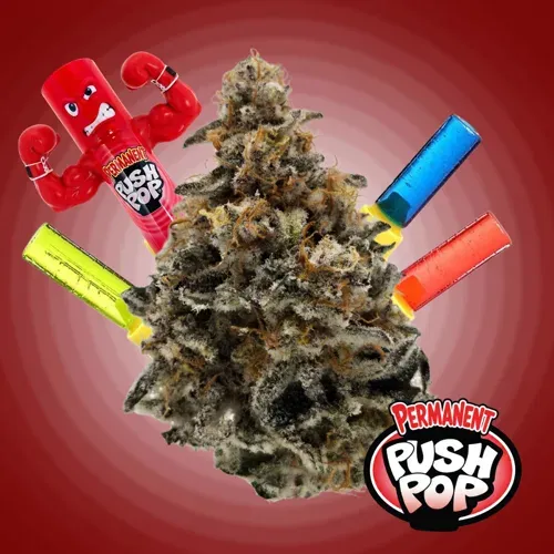 Legacy Permanent Push Pop 1g Prepack