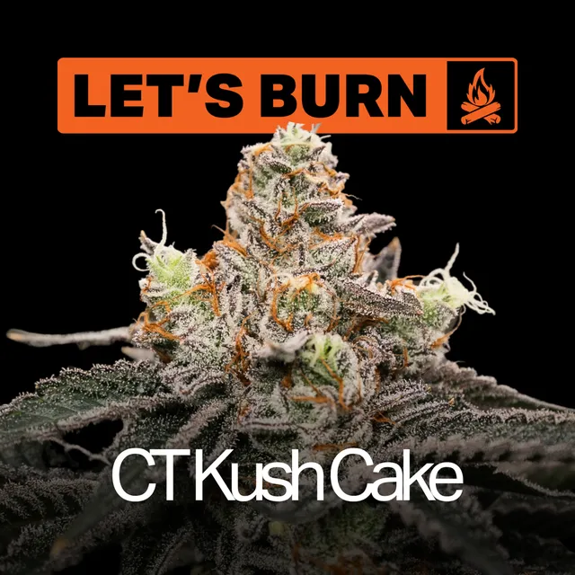 Let's Burn CT Kush Cake 3.5g Whole Flower