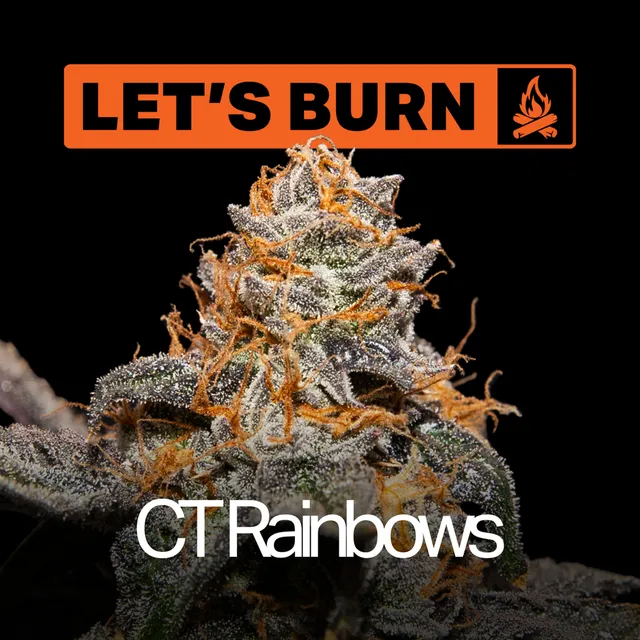 Let's Burn CT Rainbows 3.5g Whole Flower