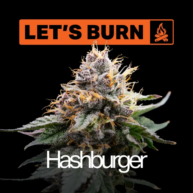 Let's Burn Hash Burger 3.5g Whole Flower
