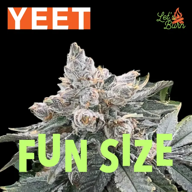 Let's Burn Yeet 7g Small Buds