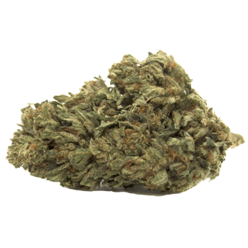 Green Valley Botanicals Mambo MG Weed Strain