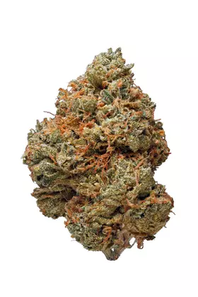 Ever Leaf Dispensary Night Terror OG Cannabis Flower