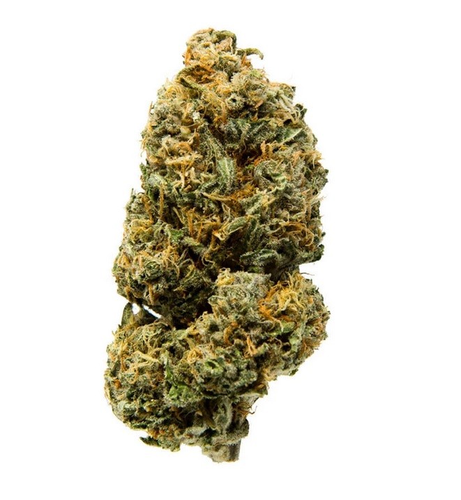 Fresh Cannabis Northern Lights Delta-8 THC Flower