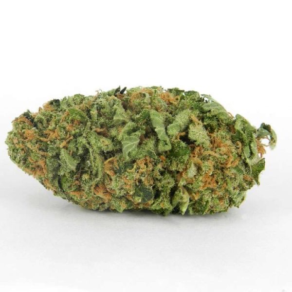 Ever Leaf Dispensary Northern Lights Weed Strain