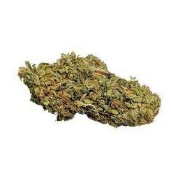 Ever Leaf Dispensary Orange Kush Weed Strain