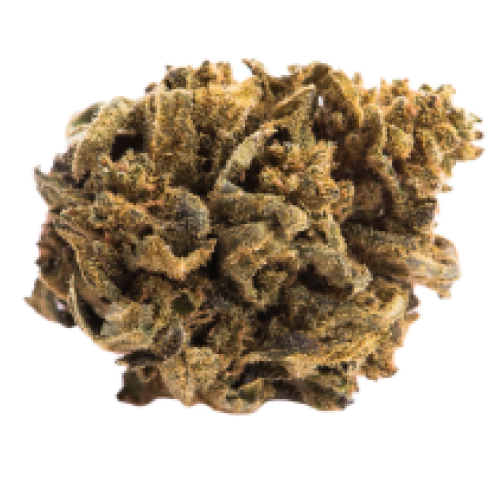 Ever Leaf Dispensary Pakistan Valley Kush Marijuana Strain