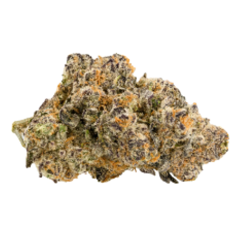 Fresh Cannabis Permafrost Marijuana Strain