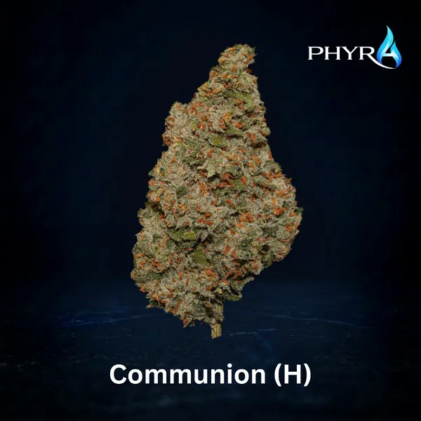 Phyra Communion 3.5g Whole Flower