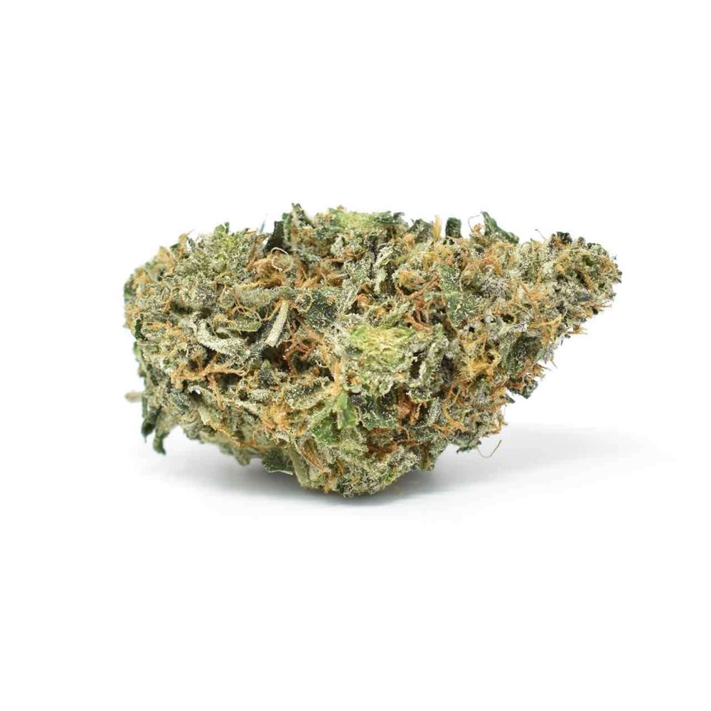 Fresh Cannabis Pine Tar Kush Weed Strain