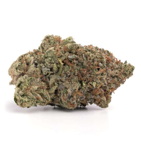 Fresh Cannabis Pink Rockstar Cannabis