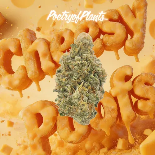 Poetry of Plants Cheesy Poofs 1g Prepack