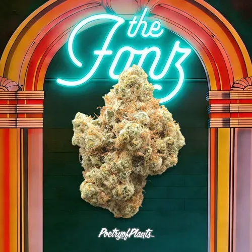 Poetry of Plants The Fonz 1g Prepack
