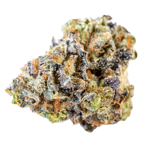 Fresh Cannabis Pot of Gold Marijuana Strain