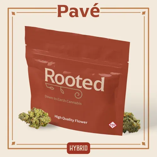 Rooted Pave 14g Popcorn