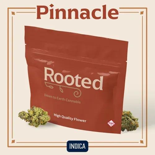 Rooted Pinnacle 14g Popcorn