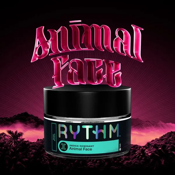 RYTHM Animal Face