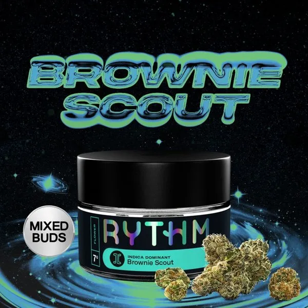 RYTHM Brownie Scout