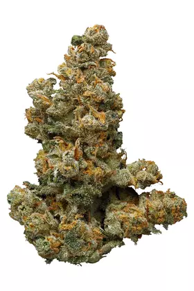 Ever Leaf Dispensary Somango Weed Flower