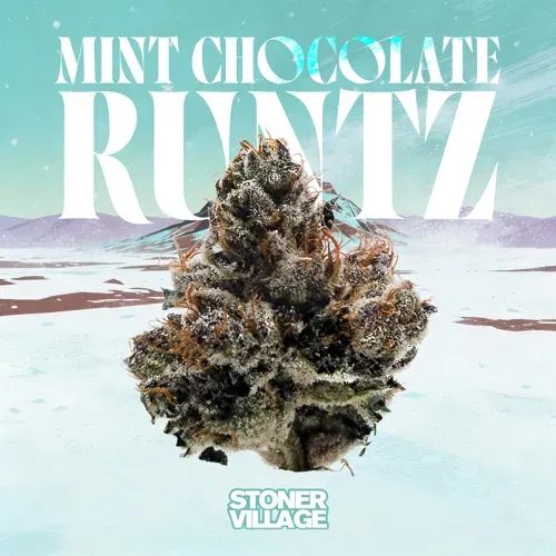 Stoner Village Mint Chocolate Runtz 3.5g Prepack