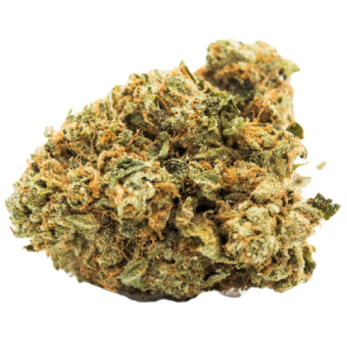 Ever Leaf Dispensary Super Lemon Haze Marijuana Strain