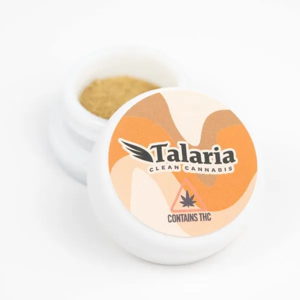 Talaria Fruit Cake [1g]