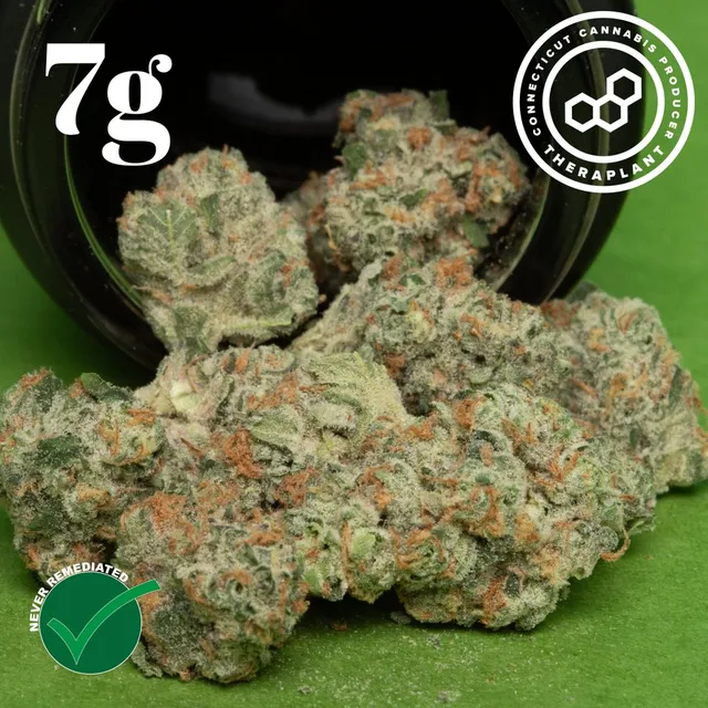 Theraplant Black Cherry GMO 7g Whole Flower