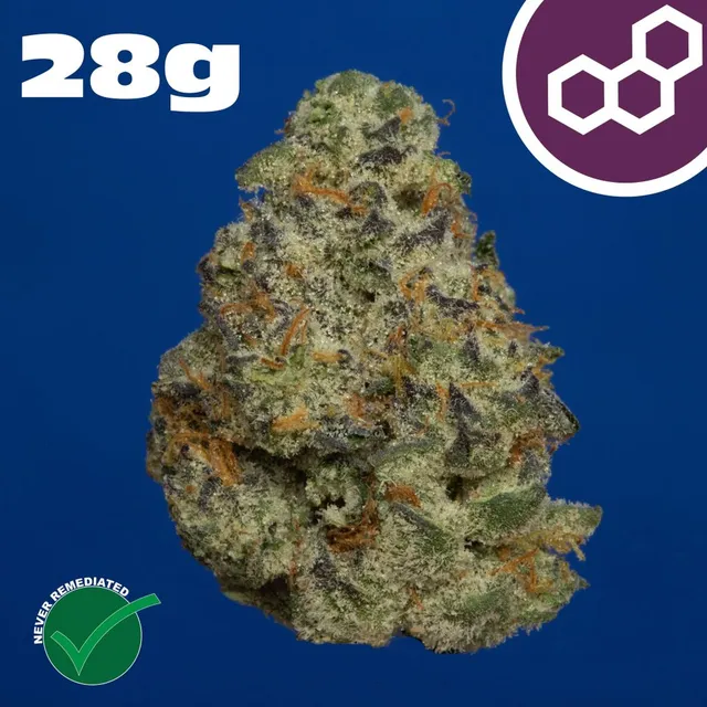 Theraplant Plasma Gas 28g Whole Flower