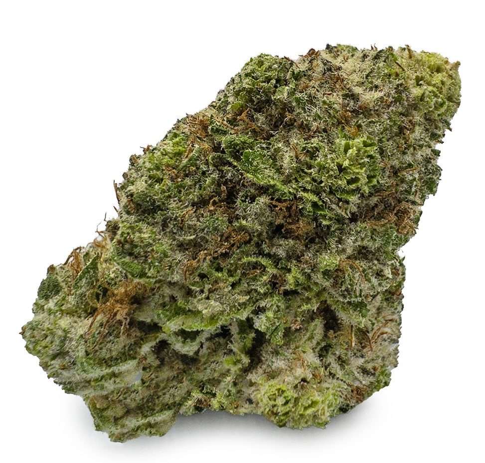Fresh Cannabis Tropicana Cookies Cannabis Flower