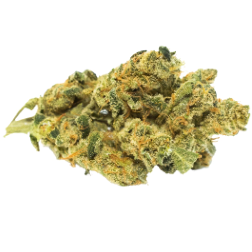 Ever Leaf Dispensary White 99 Cannabis Strain