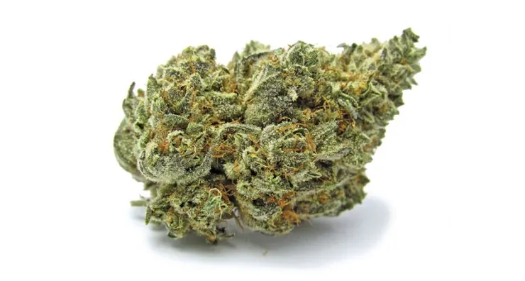 Ever Leaf Dispensary White Buffalo Weed Strain