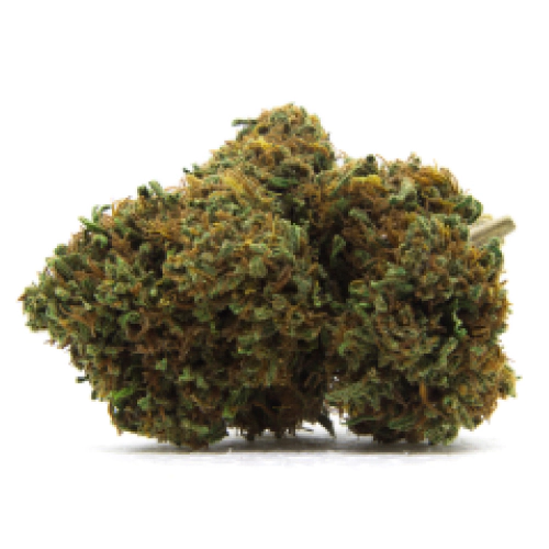 Ever Leaf Dispensary White Fire 43 Marijuana Strain