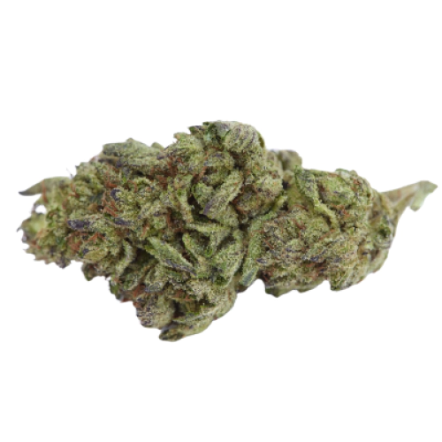 Fresh Cannabis White Rhino Marijuana Strain